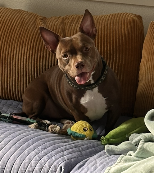 Number 1's profile picture