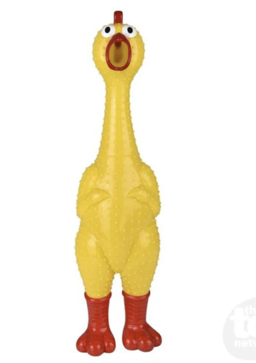 Number 5's profile picture